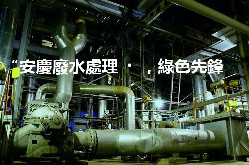 “安慶廢水處理，綠色先鋒，環(huán)保典范！”